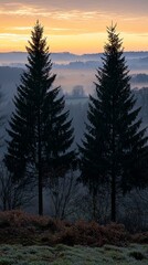 Two tall, dark evergreen trees stand silhouetted against a vibrant sunrise over a misty valley