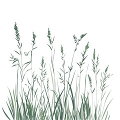 2D flat Tall Grass Spring Sky vector illustration, isolated on a white background.