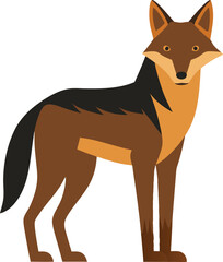  Alert Jackal Watching Its Surroundings.