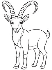 Alpine Ibex Line Drawing Cute Nature Animal Illustration For Children
