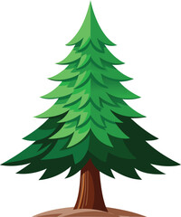 Beautiful Evergreen Pine Tree Landscape.