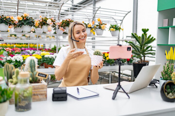 A Caucasian woman in a florist shop presents a cactus while live streaming for online sale from her...