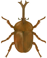 かぶと虫のイラスト