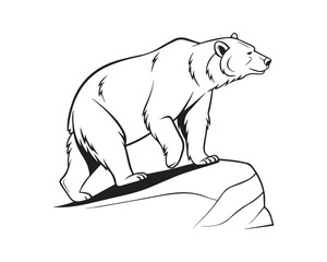 A black and white line drawing of a full bear in profile view isolated on transparent background, PNG
