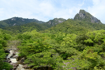屋久島、モッチョム橋から望むモッチョム岳