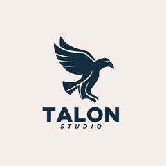 Modern Elegant Eagle Flying Wings Corporate Identity Logo Design