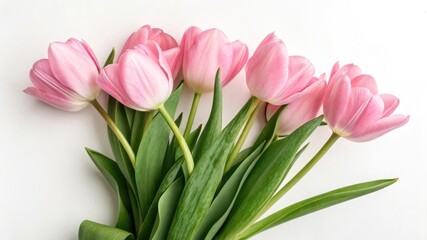 Fototapeta premium Bouquet of five pink tulips isolated on white background