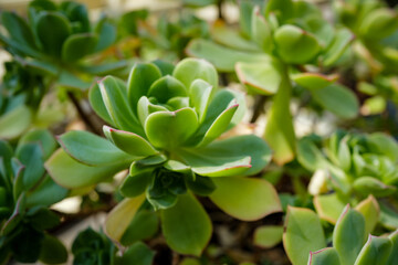 Dublin, Ireland - May 31 2025 