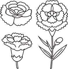 Carnation Bloom Vector Icon for Gift Bouquet Valentine Wedding and Festive Themes