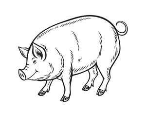 Fototapeta premium A black and white line drawing of a full pig in profile view isolated on transparent background, PNG