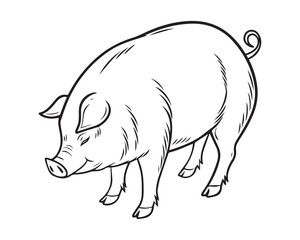 Fototapeta premium A black and white line drawing of a full pig in profile view isolated on transparent background, PNG