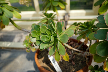 Dublin, Ireland - May 31 2025 