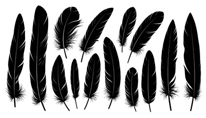 Black feather silhouettes