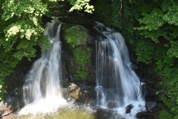 Fototapeta premium 明神滝