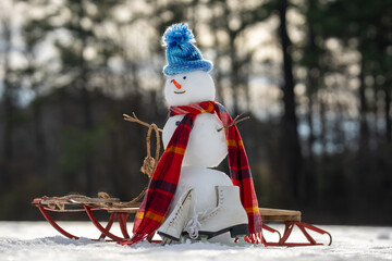 Snowman winter background. Winter holiday scene. Snowman with scarf and hat. Winter design. Happy...