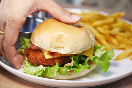 Delicious chicken sandwich with crispy fries on a plate