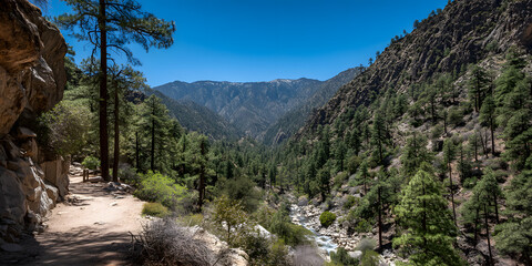 Obraz premium Majestic Hiking Trail Through Lush Landscape and Snow-Capped Mountains