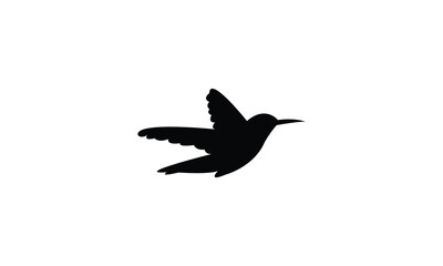 Flying Amazilia hummingbird Silhouette Design  And Vector Illustration. 