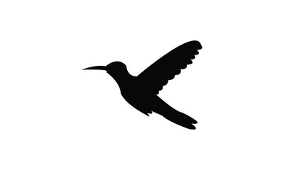 Flying Amazilia hummingbird Silhouette Design  And Vector Illustration. 