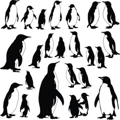 Fototapeta premium Penguin Silhouette & Arctic Wildlife Symbol Set Featuring 20 Unique Black-and-White Penguin Illustrations in Various Poses and Sizes—Including Standing, Pair Interactions, and Chick Representations