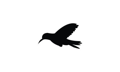 Flying Amazilia hummingbird Silhouette Design  And Vector Illustration. 