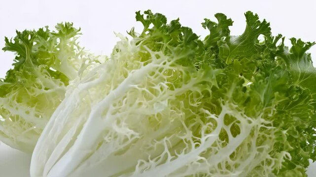 Close-up studio shot of a fresh frisee lettuce head with vibrant green curly leaves and a white base, perfect for salad ingredient use.