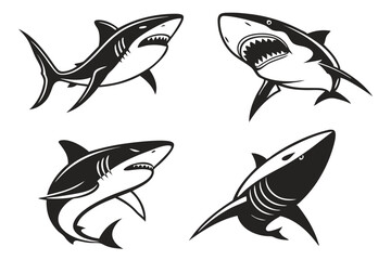 set of sharks