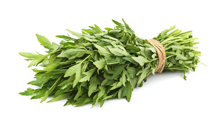bunch of fresh herbs