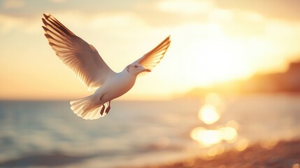 summer concept. A bird soaring against a sunset backdrop by the water.