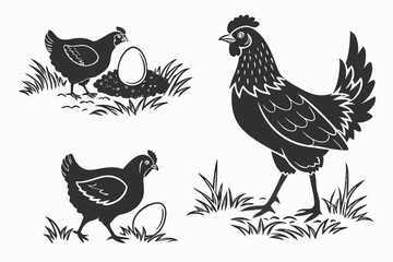 Obraz premium set of chicken