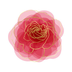 beautiful rose watercolor imitation hand-painted with golden outline isolated on white background,