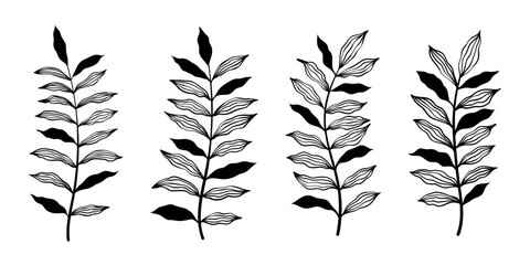 Set of branch and leaves collection. Floral hand drawn vintage set. Sketch line art illustration. Element design for greeting cards and invitations of the wedding, birthday