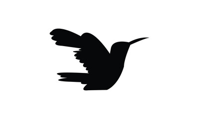 Flying Amazilia hummingbird Silhouette Design  And Vector Illustration. 
