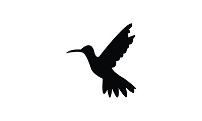 Flying Amazilia hummingbird Silhouette Design  And Vector Illustration. 