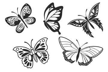 set of butterflies