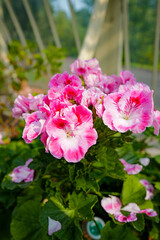 Dublin, Ireland - May 31 2025 