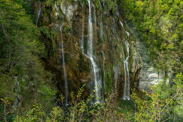 Beauty nature. Waterfall in the Plitvice Lakes in Croatia. The waterfalls in forest. Summer view of beautiful waterfalls and clear lake. Plitvice Lakes National Park, Croatia. Summer nature landscape.