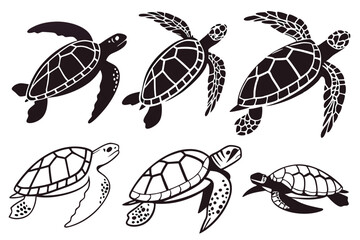 turtle