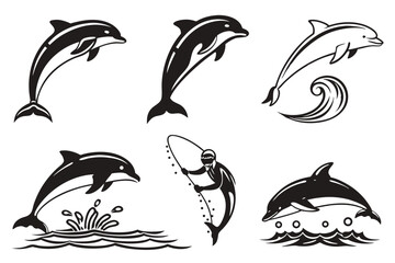 set of dolphins