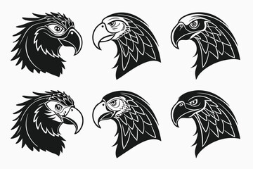 Obraz premium set of eagle