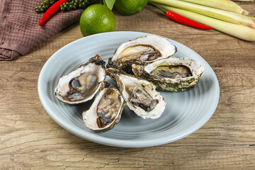 Raw fresh wild oyster dish