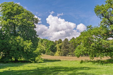 Prairie au printemps