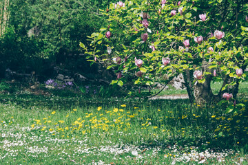 Beauté printanière dans le jardin fleuri