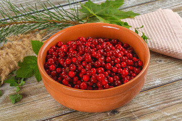 Natural organic wild forwst lingonberry