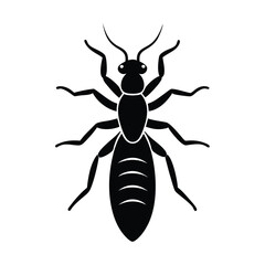 Obraz premium black termite isolated on white background