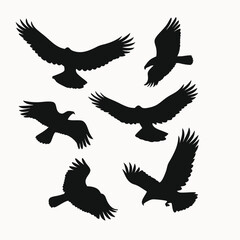Obraz premium Majestic Birds in Flight A Collection of Black and White Eagle Silhouettes