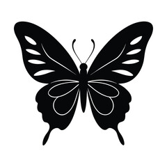 butterfly vector illustration