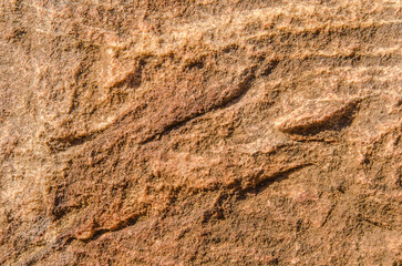 Red sandstone rock, natural tones, create mesmerizing texture and patterns, creating a natural earthy backdrop. 