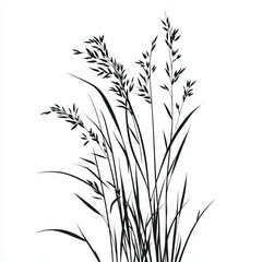 rice silhouette , black and white illustration isolated on white background