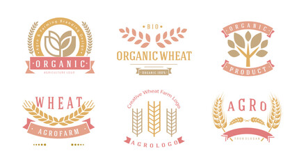 Agriculture wheat ears badges. Agriculture sticker and label, wheat